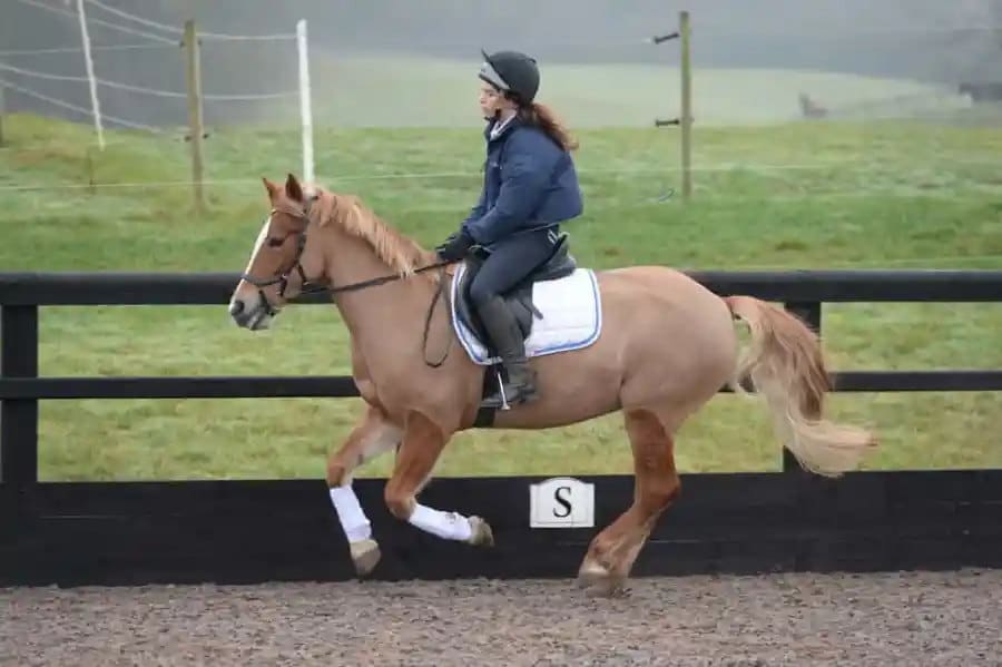 galopperen ontbinden